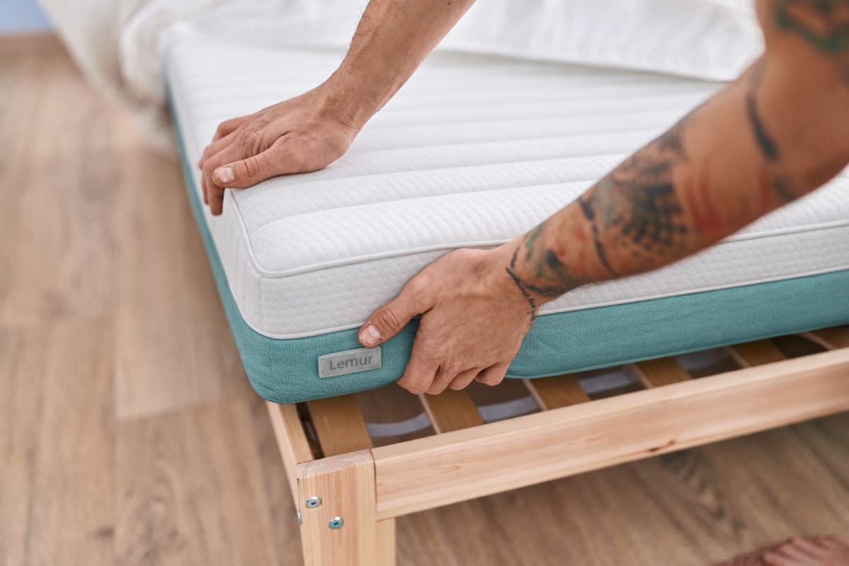 dar la vuelta al colchón es necesario Lémur